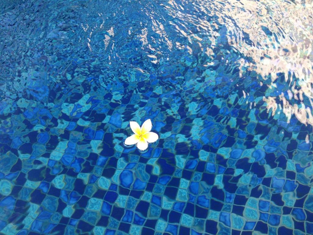 Coco De Heaven House Hotell Jimbaran Eksteriør bilde